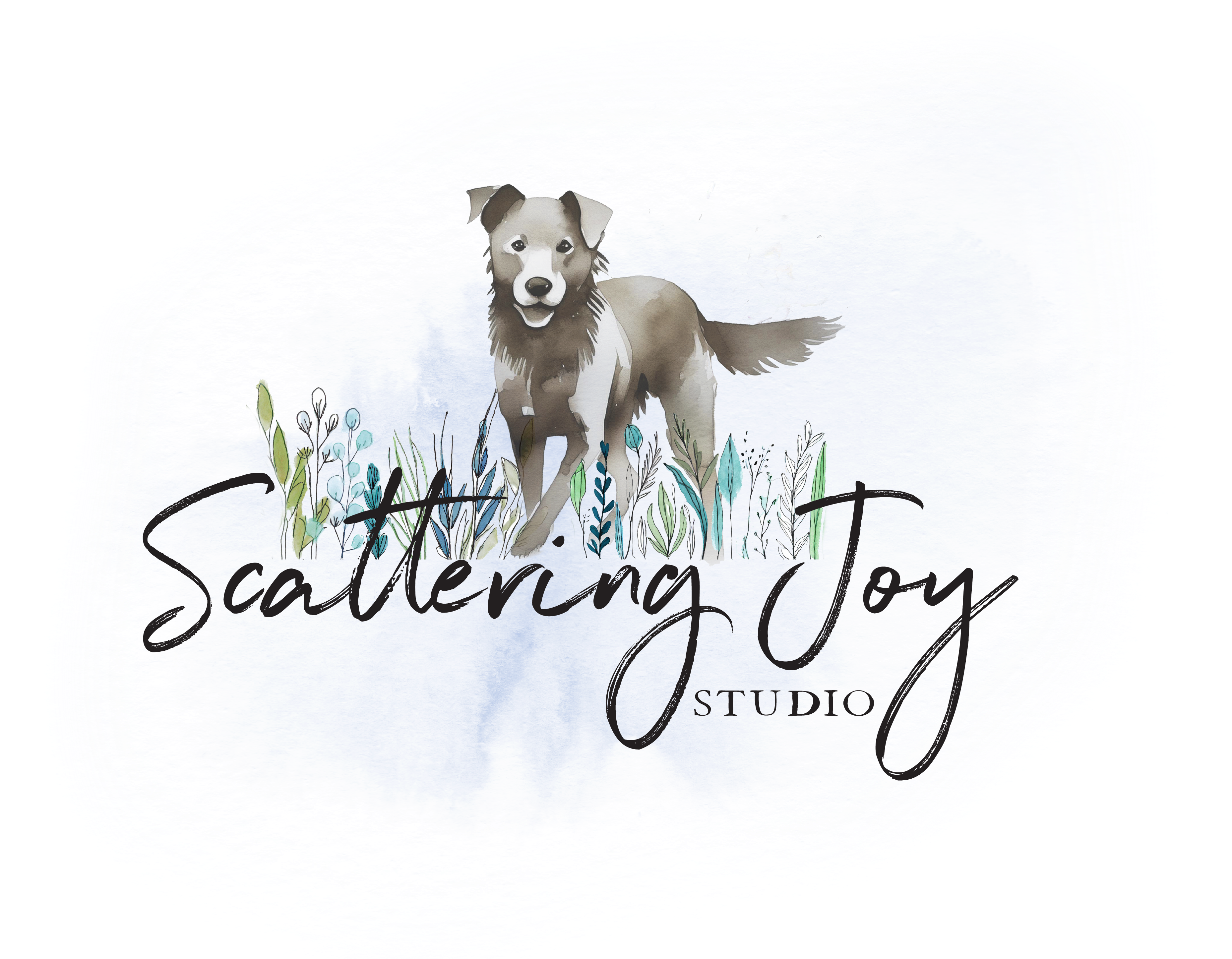 Scattering Joy Studio